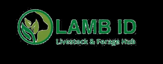 Lamb ID Logo